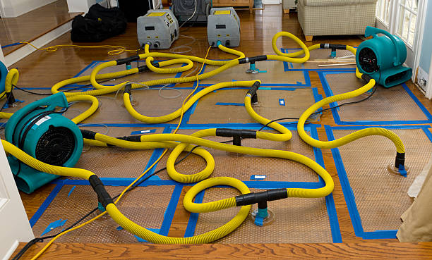 Professional Water Extraction technician working in North Chicago, IL